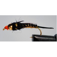 Stonefly Creeper