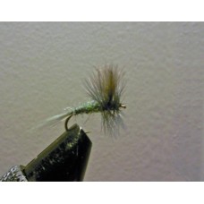Grey Wulff CdC Grey Wulff CdC