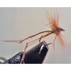 Deducted Daddy longleg Deducted Daddy longleg